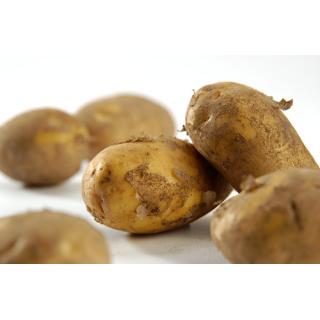 Kartoffeln festkochend 5kg "Lea" > aus eigener Ernte