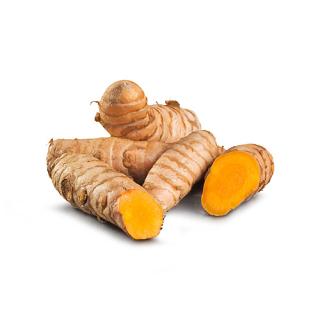 Kurkuma frisch