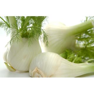 Fenchel > aus eigener Ernte