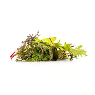 Asia Salat > regional aus Moyland