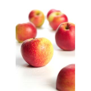 Äpfel Santana (bedingt allergikergeeignet)