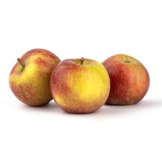 Äpfel Natyra