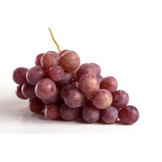 Trauben blau "Muscat de Hambourg"