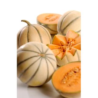 Honigmelone Cantaloupe