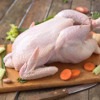 Suppenhuhn TK  > aus dem Hühnermobil