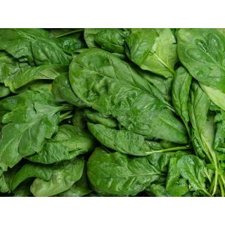 Spinat lose > regional aus Moyland