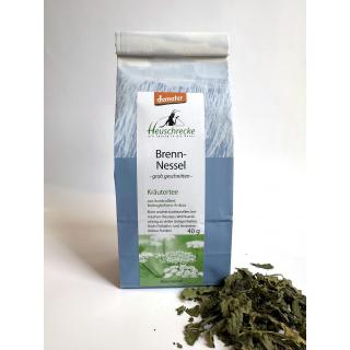 Brennnessel