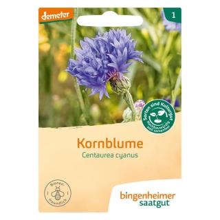 Kornblume  blau