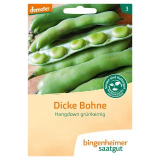 Dicke Bohnen