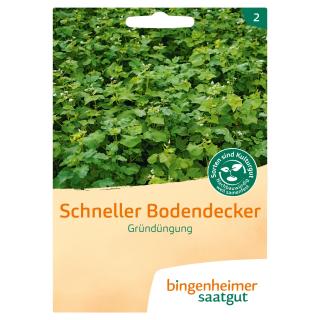 Schneller Bodendecker