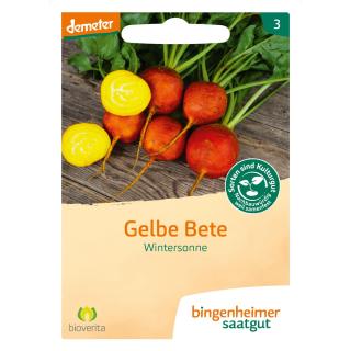 Gelbe Bete Wintersonne