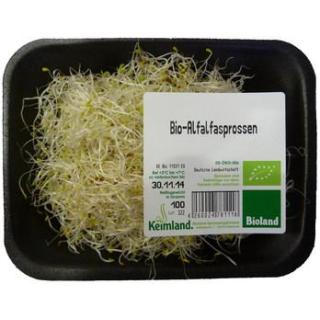 Alfalfasprossen samenfest