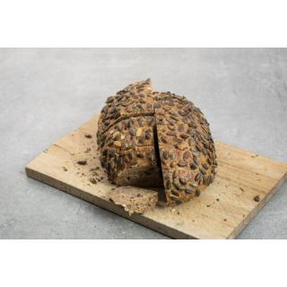 Münsterländer Kürbiskern (demeter) > NUR zu Fr bestellbar