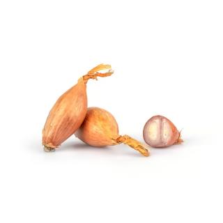 Schalotten