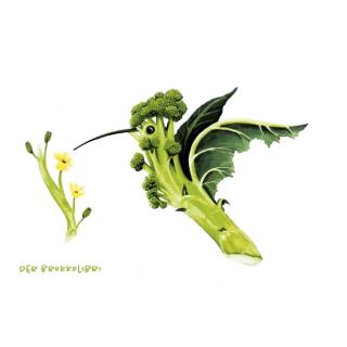 Postkarte Brokkolibri